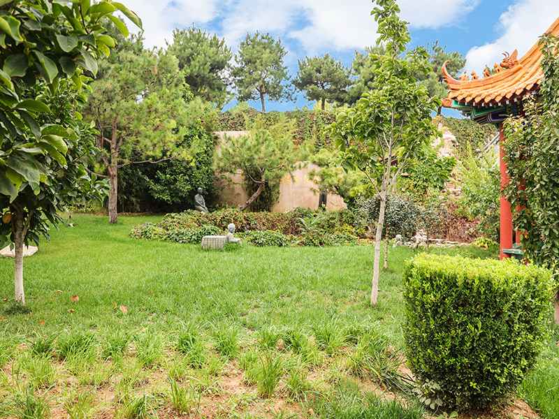 炎黄陵园墓地价格是多少呢(炎黄陵园合法吗)