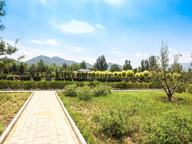 清东陵的怎么样(清东陵万佛园价格贵吗)