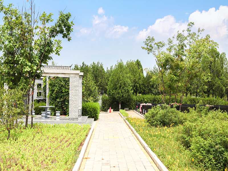 中华永久陵园怎么样（这里夏天温度低吗）