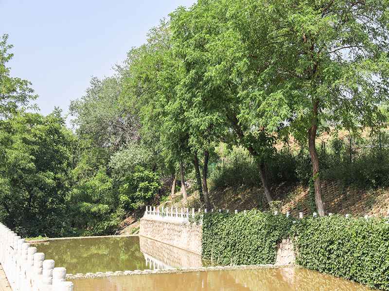 前往景仰园骨灰林扫墓（景仰园有扫墓班车吗）