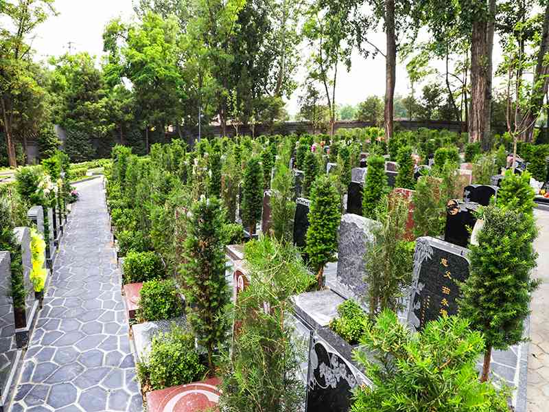 天寿陵园三个最明显的优势（天寿陵园价格多少）