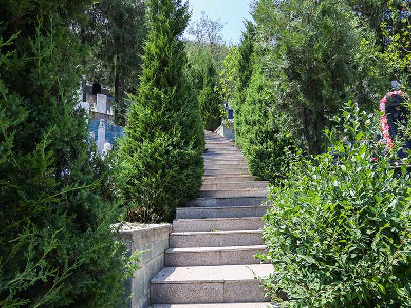 北京惠灵山陵园预约电话是多少(自然葬是什么意思)