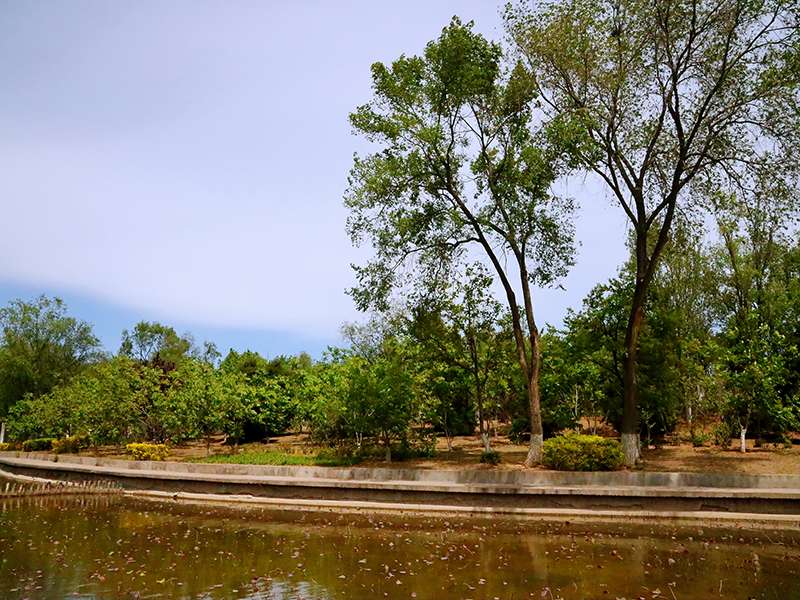 金山陵园什么时候修建的 （金山陵园环境怎样）