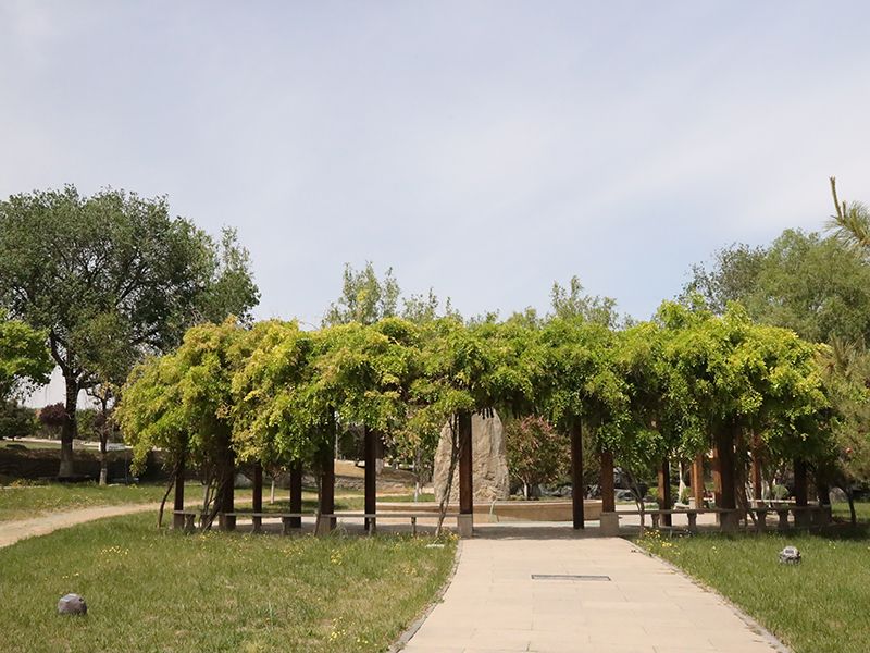 朝阳陵园价格表哪里有(朝阳陵园有哪些优势)