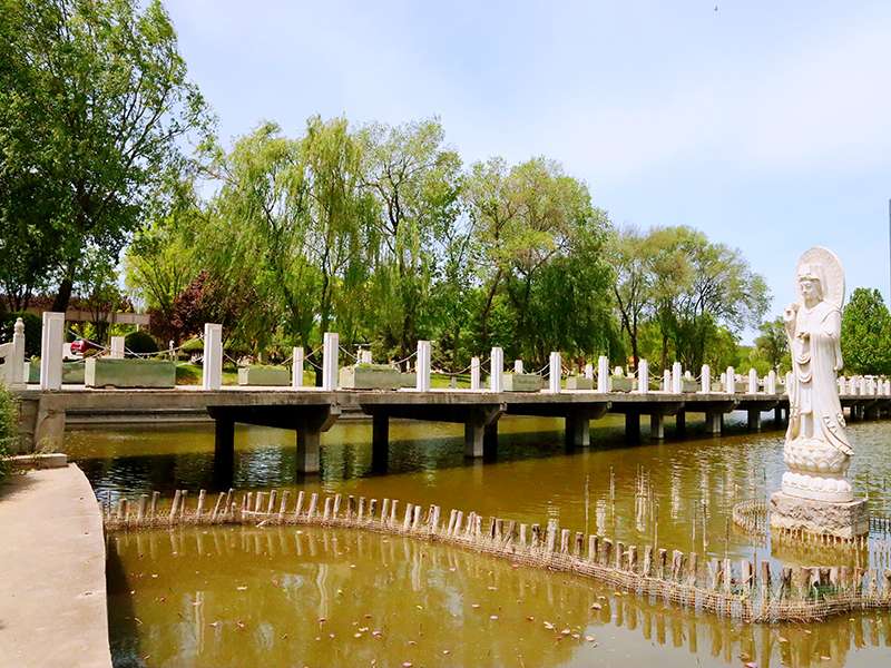 朝阳陵园地址详细在哪里(朝阳陵园的墓地价格是多少)