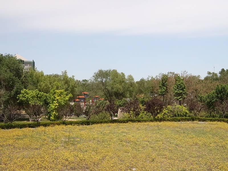 潮白陵园环境怎么样(潮白陵园价格多少)