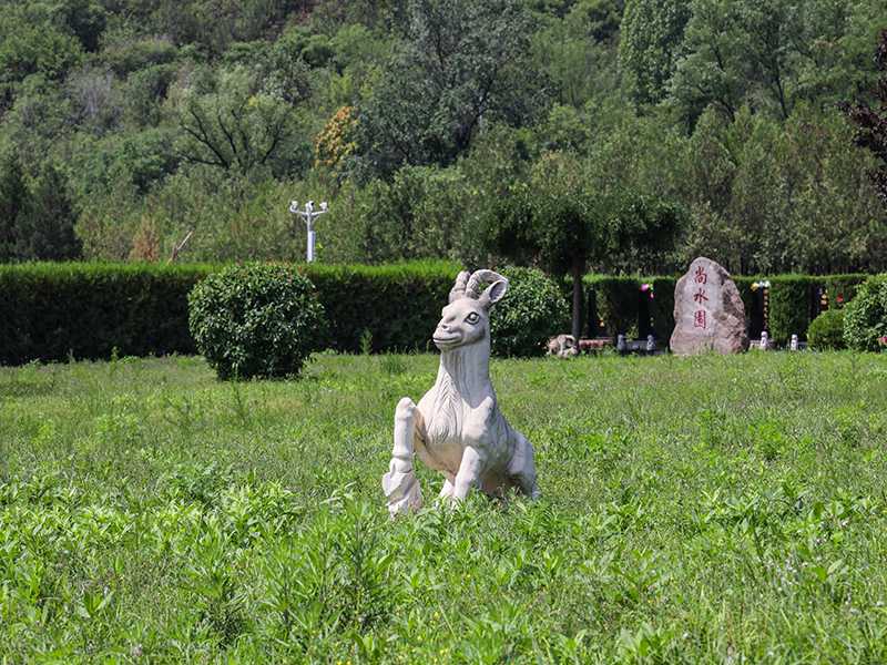 归山陵园的信息怎么找( 归山陵园选墓专车如何预约)